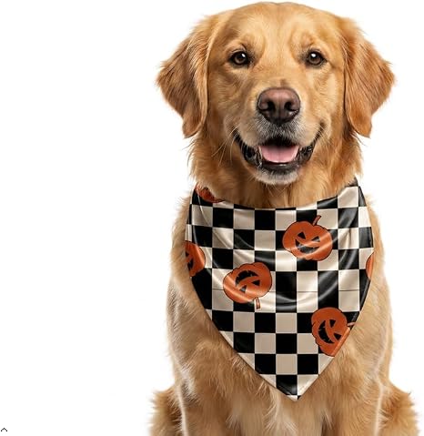 Halloween Satin Bandana
