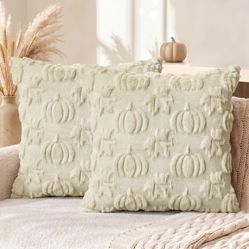 Pumpkin Pillow Covers