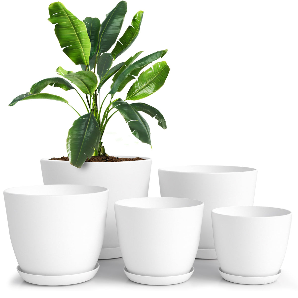 White Planter Set (5PK)