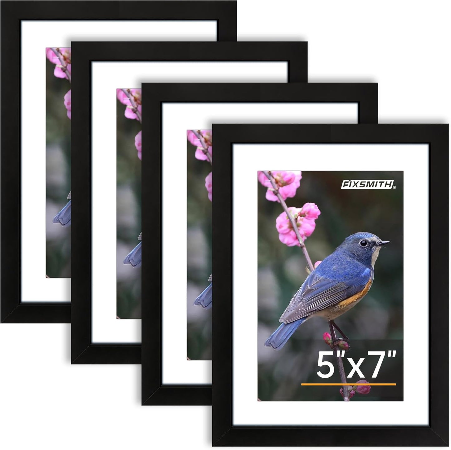 Picture Frames (4PK)