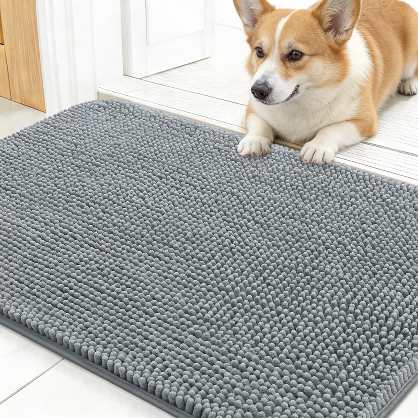 Dog Door Mat