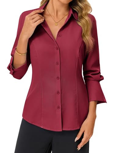 Button Down Shirt