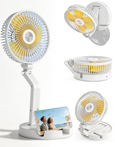 Portable Oscillating Fan