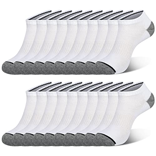 Men's Ankle Socks 10pr (10PK)