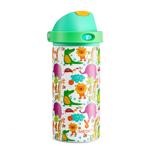 Insulated Water Bottle