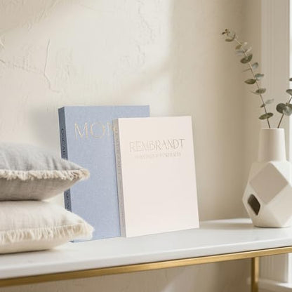 Decorative Faux Books (2PK)