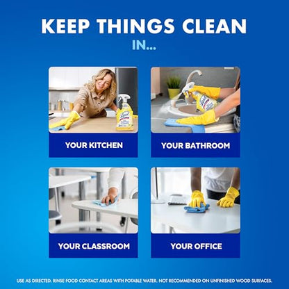 Lysol All Purpose Cleaner Spray
