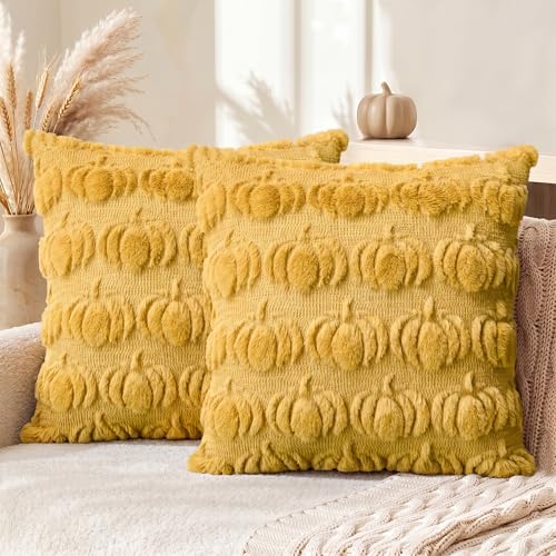 Pumpkin Pillow Covers