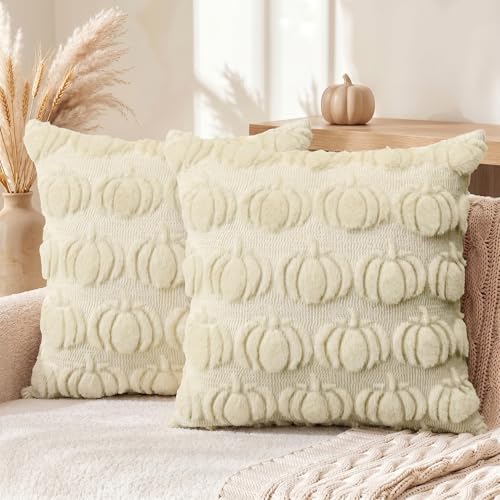 Pumpkin Pillow Covers
