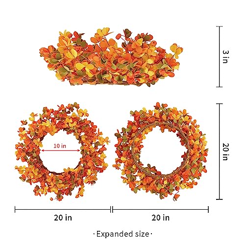 Autumn Harvest Wreath