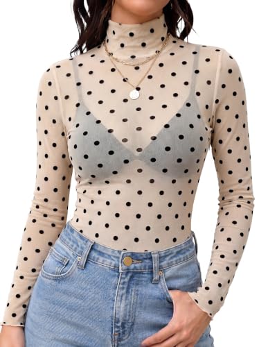 Mesh Turtleneck Top