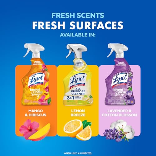Lysol All Purpose Cleaner Spray
