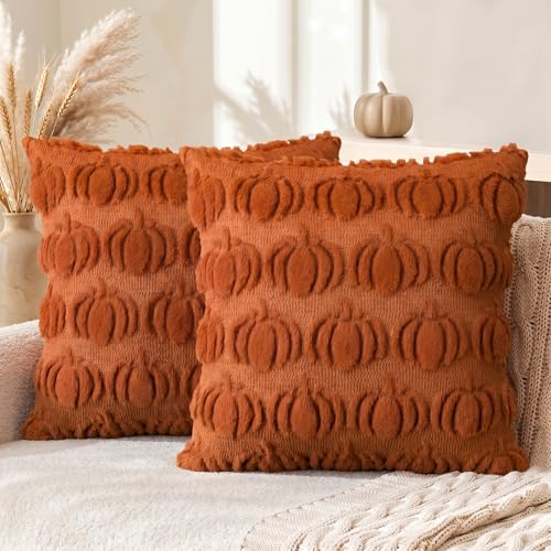 Pumpkin Pillow Covers