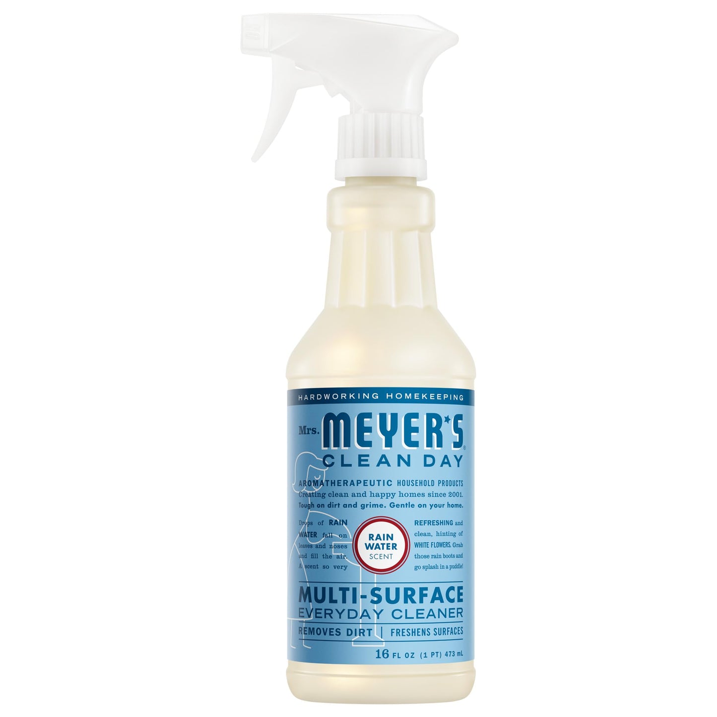 Multi Surface Cleaner