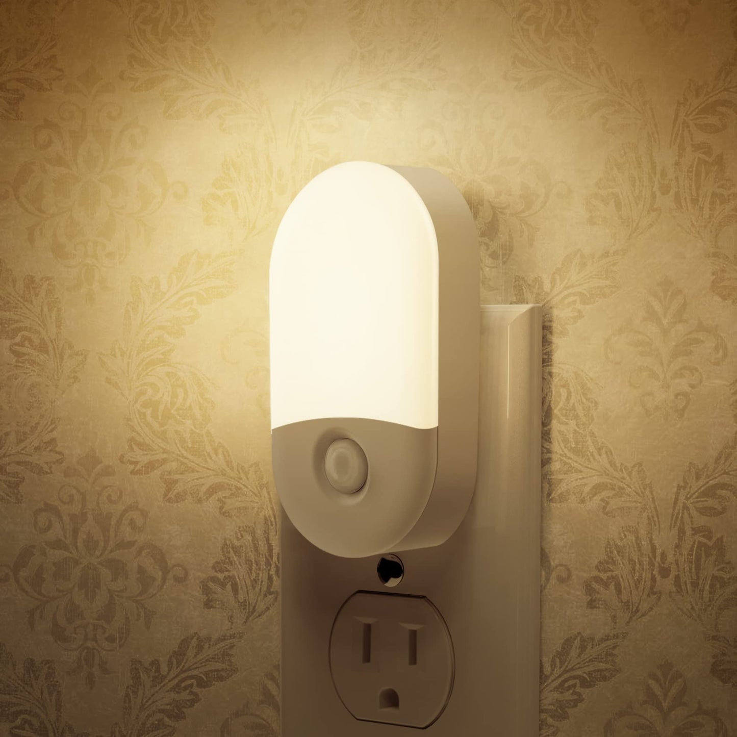LED Night Lights