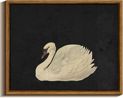Framed Wall Art