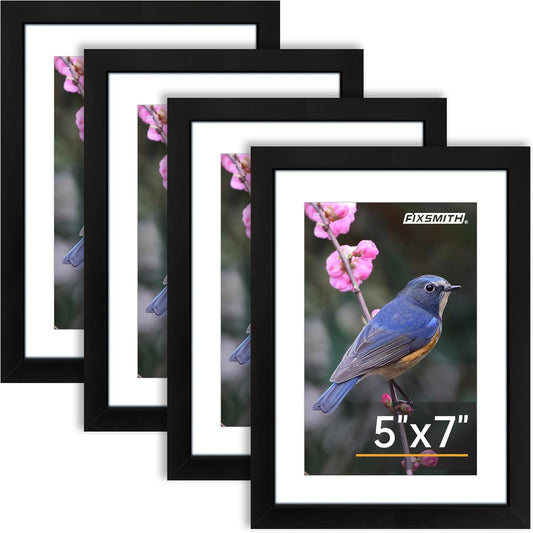 Picture Frames (4PK)