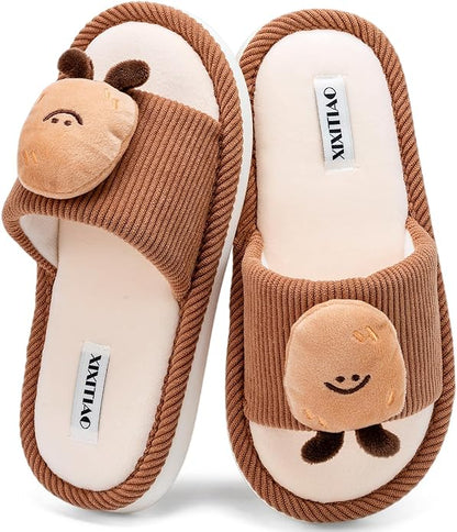 Cute House Slippers