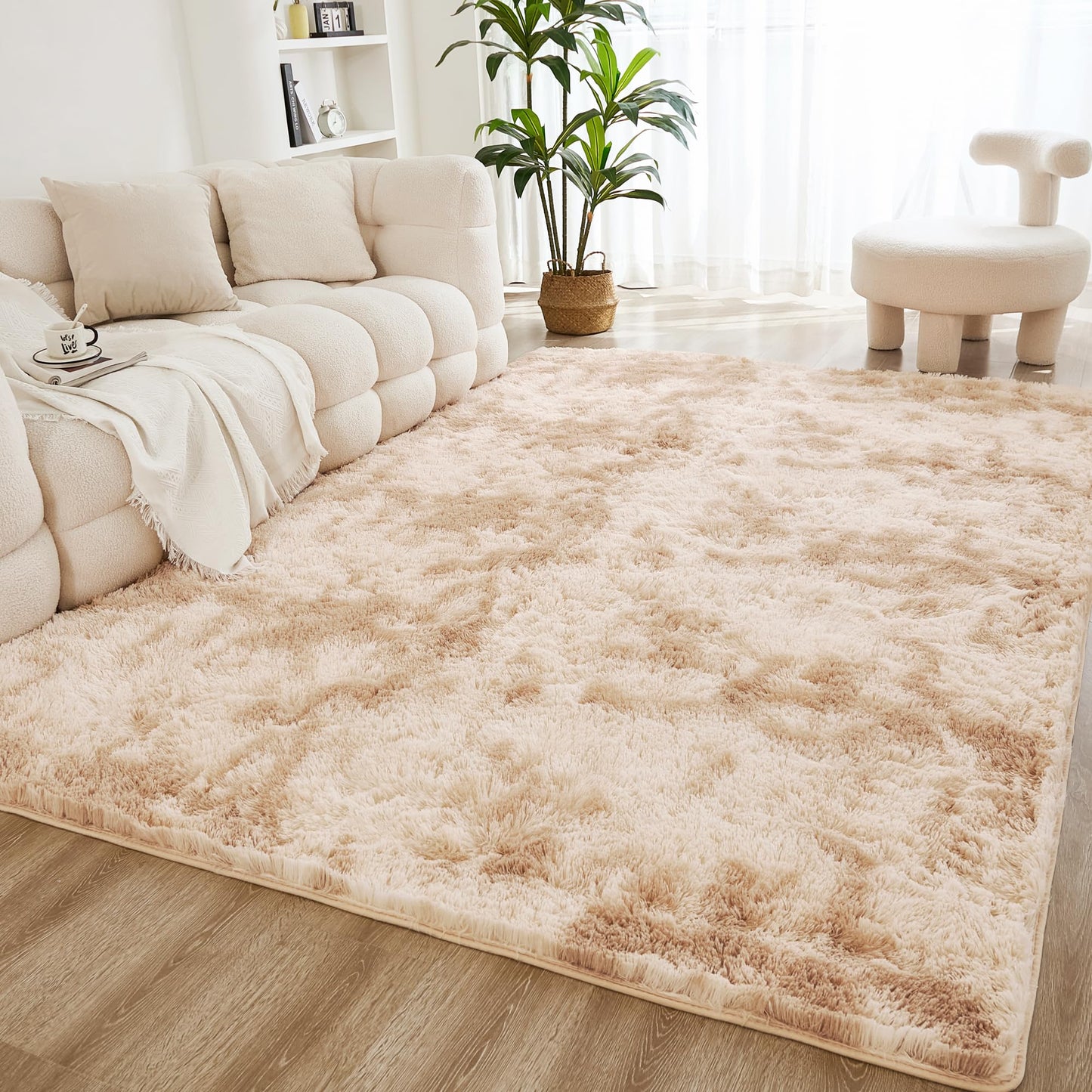Area Rug (4x6)